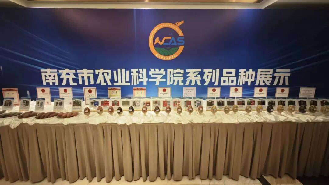 省媒体报道了南充“三农”这些工作MG不朽情缘媒体看南充 近期国(图30)